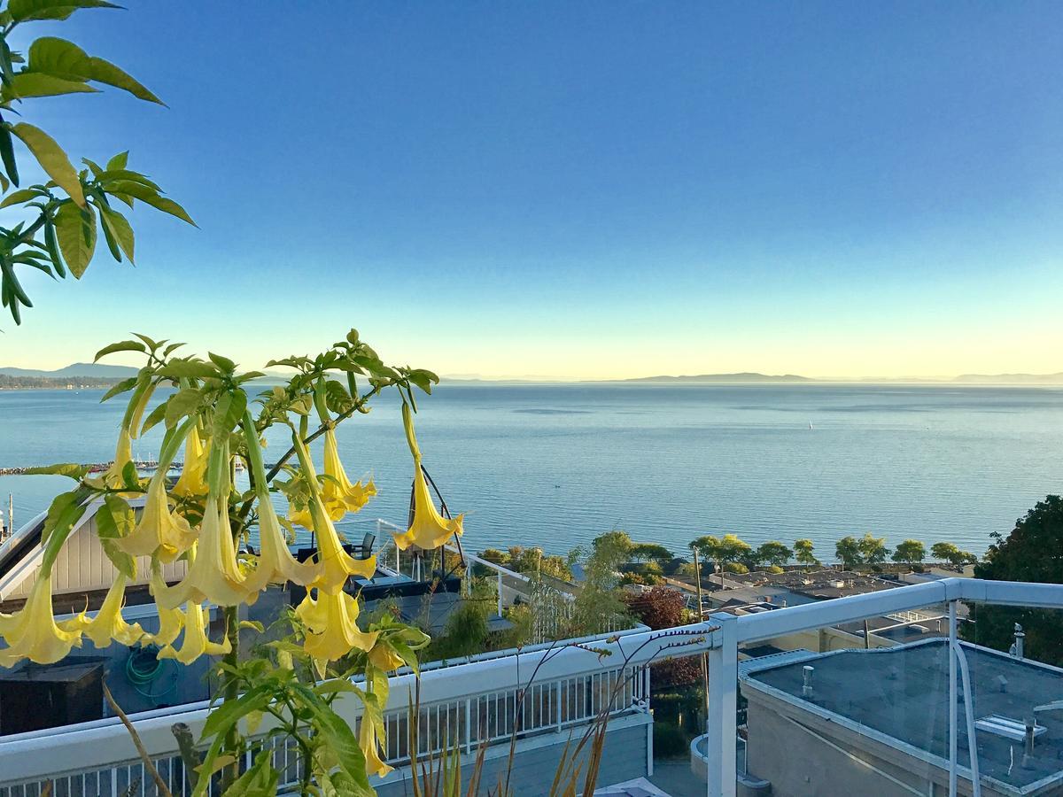Donna'S Bed & Breakfast White Rock Esterno foto