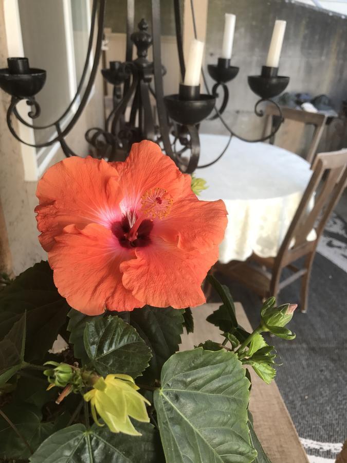 Donna'S Bed & Breakfast White Rock Esterno foto